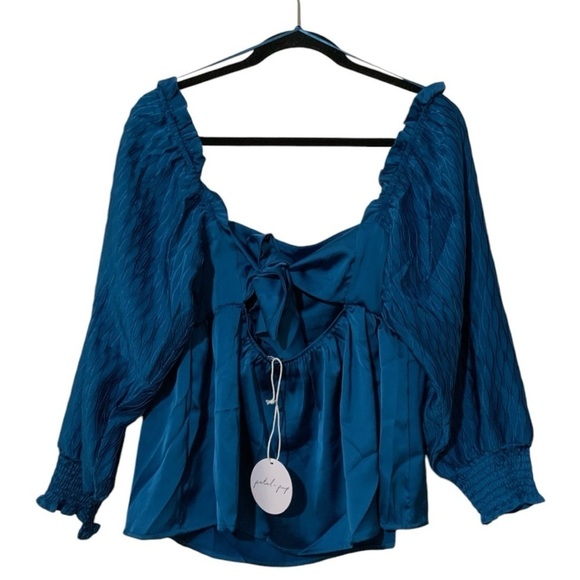 NWT Petal & Pup Montana Satin Babydoll Blue Top Long Sleeves Sz Large - Picture 11 of 12